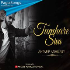 Tumhare Siva Kuch Na Cover Mp3 Tumhare Siva Kuch Na Cover Mp3