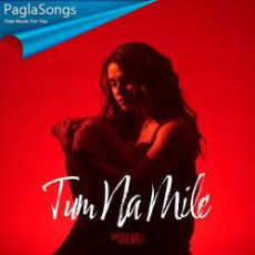 Tum Na Mile Mp3 Tum Na Mile Mp3
